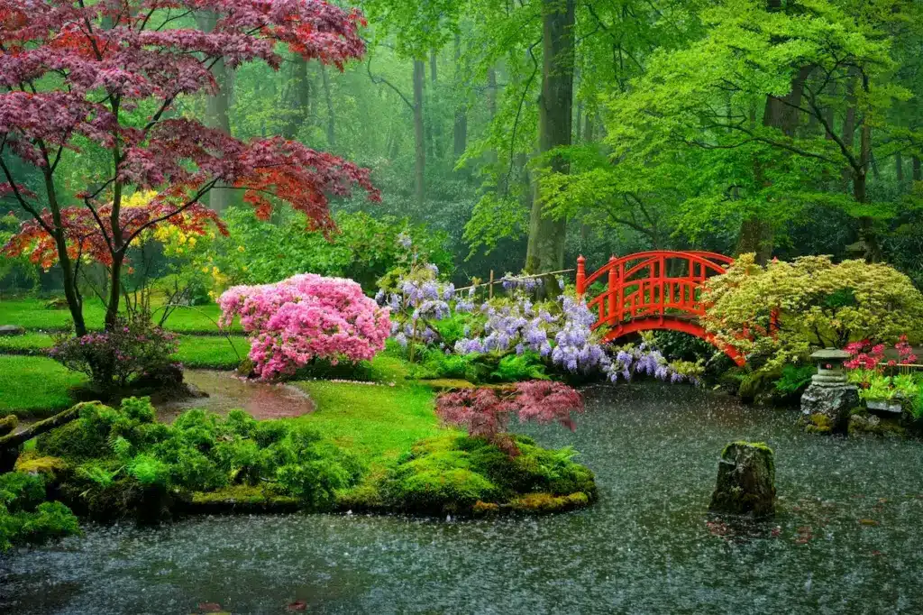 Refresh your Garden Color Scheme