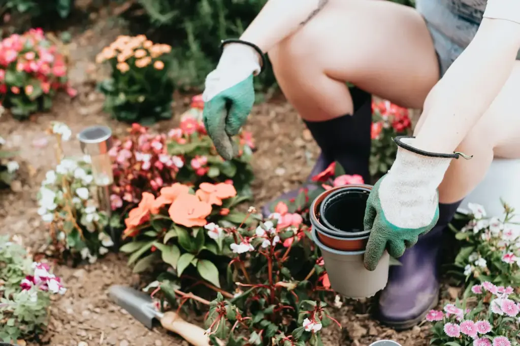 Top 5 Scrumptious Shrubs for Lazy Gardeners
