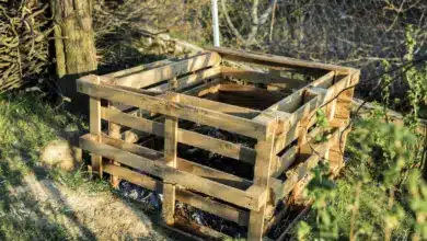 Building a Compost Bin Using Shipping Pallets