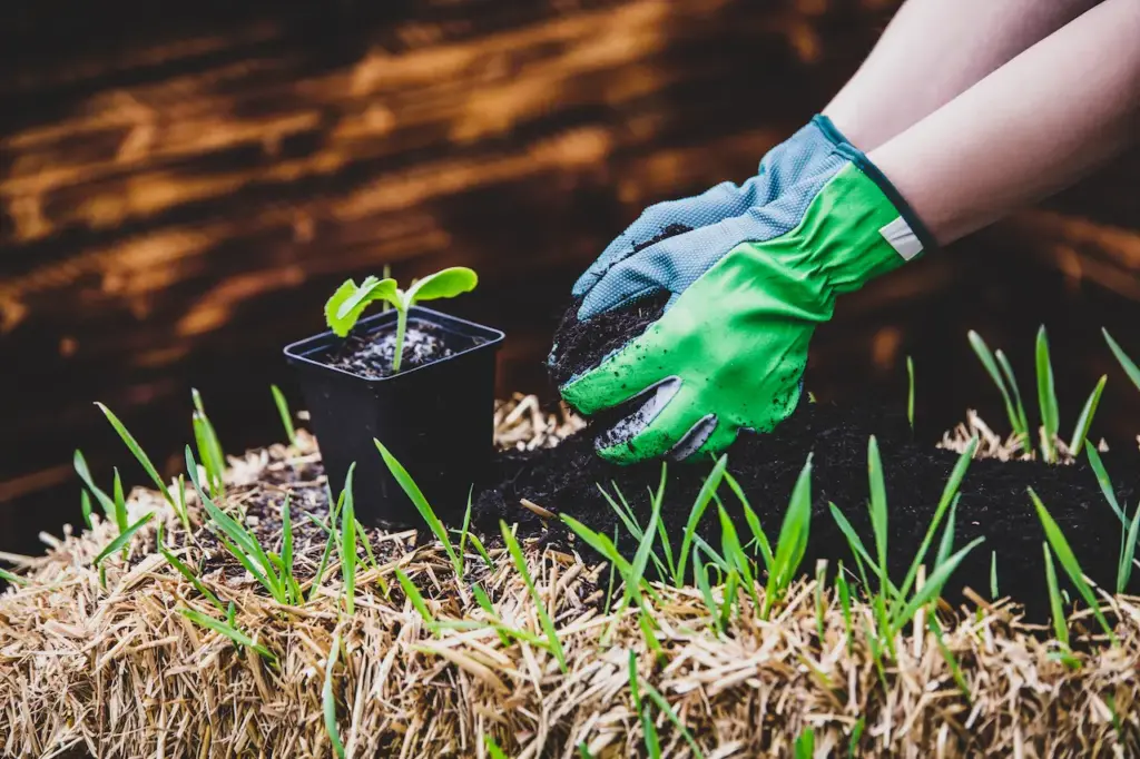 Gardening Image 