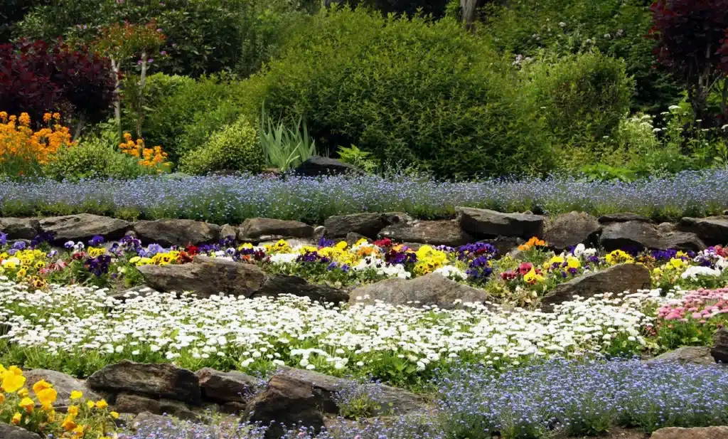 Flowering Perennials 