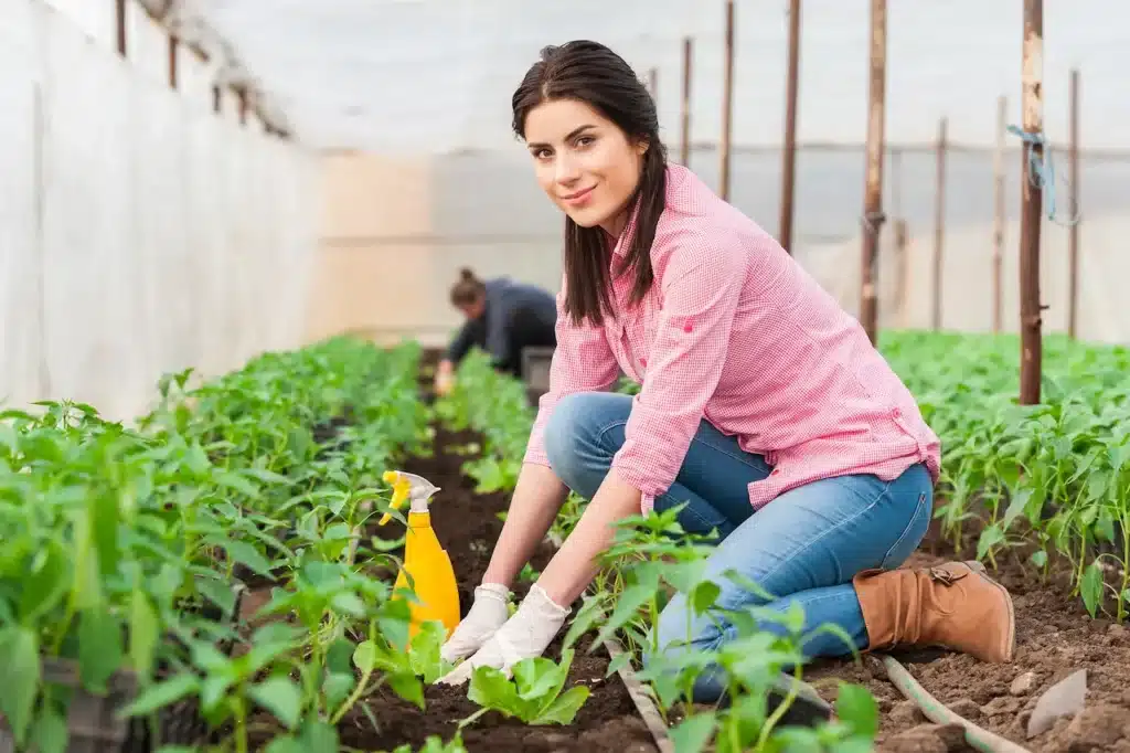 Lady Growing Vegetables 