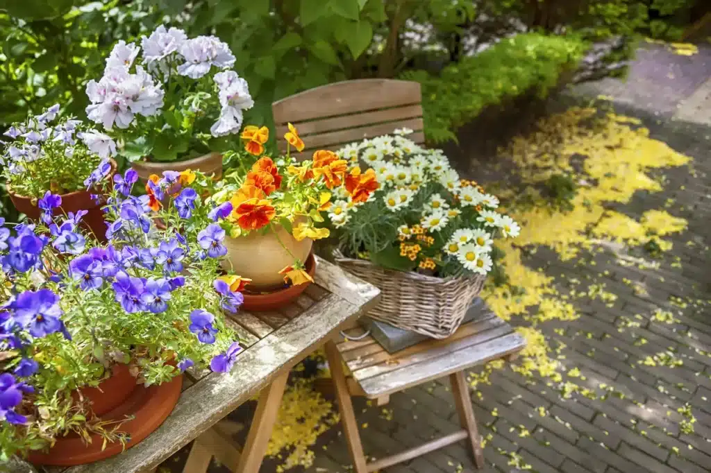 What to Plant for Your Fall Garden 