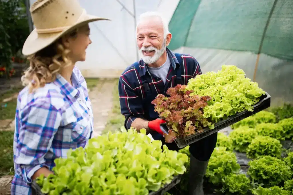 Growing Organic Vegetables 