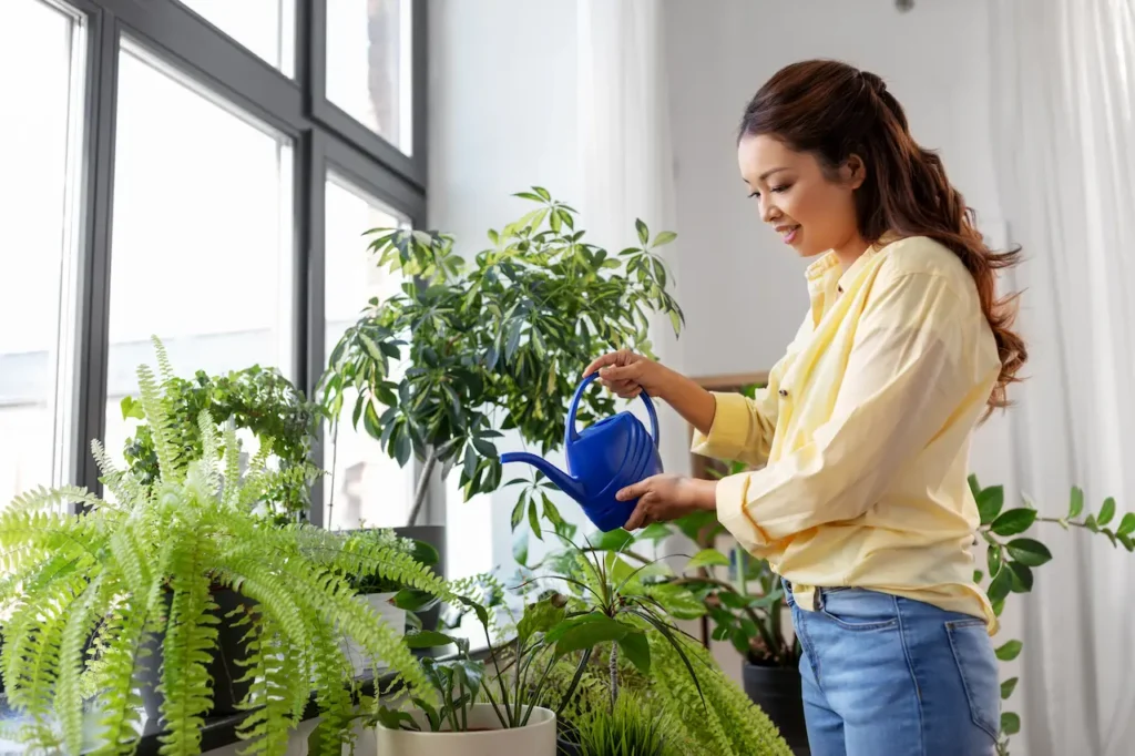 Lady Watering Plant at Home 