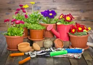 Top Gardening Tools and Flowers