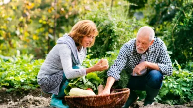 Vegetable Gardening for Autumn